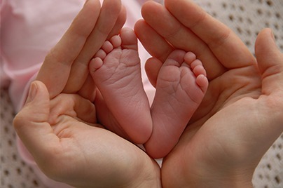 Ovulation Infographic