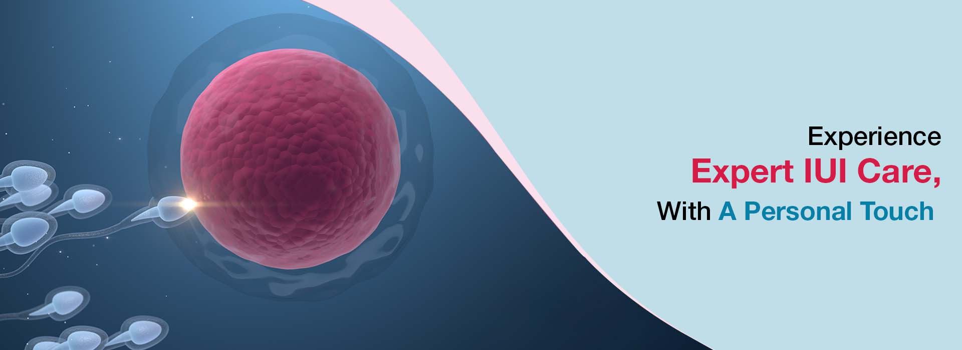 IUI Treatment at KIMS Fertility Centre