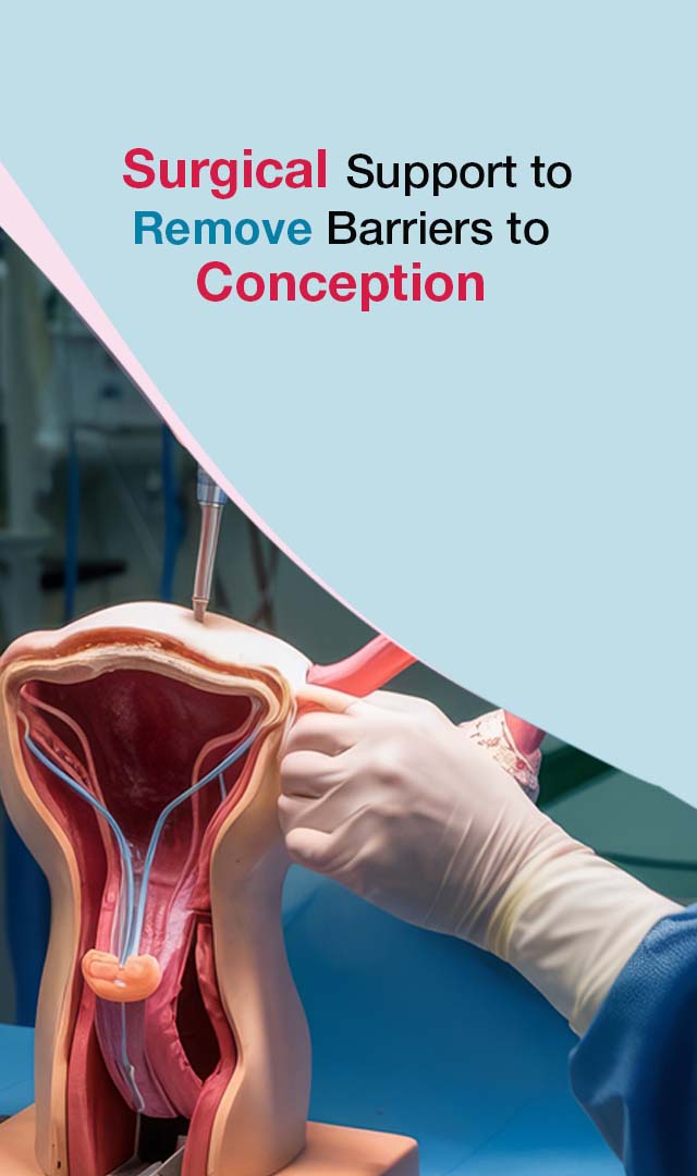 Laparoscopy & Hysteroscopy in AP & Telangana 